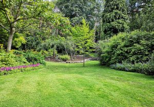 Optimiser l'expérience du jardin à Domfront-en-Champagne