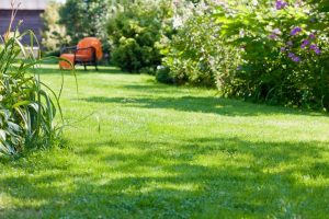 travaux jardin et paysage Domfront-en-Champagne